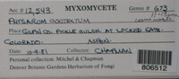 Image Associated With the Occurence